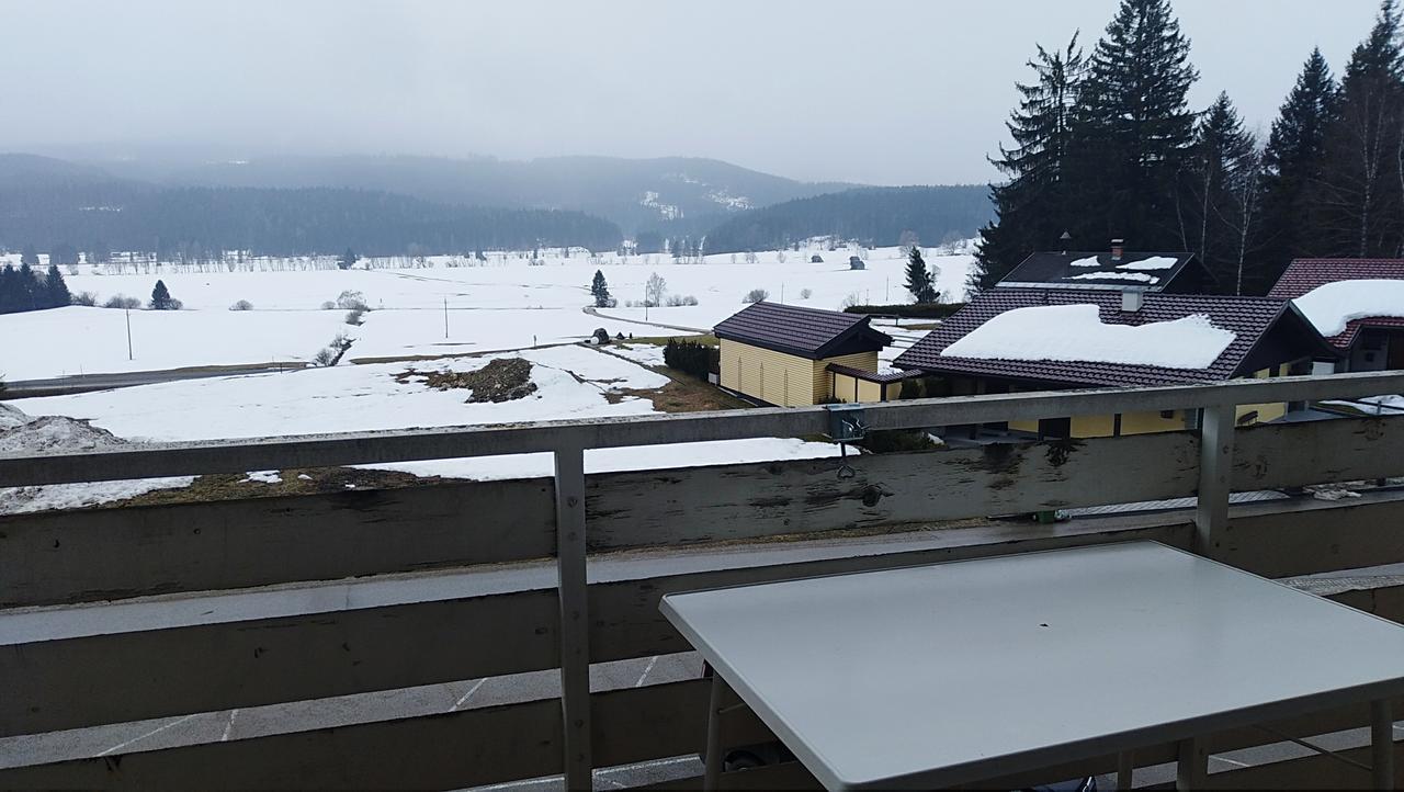 Happy Stay Apartment Bad Mitterndorf Exteriör bild